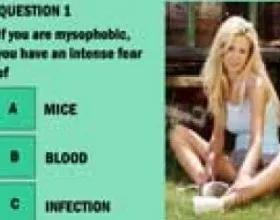 Sexy strip quiz 7